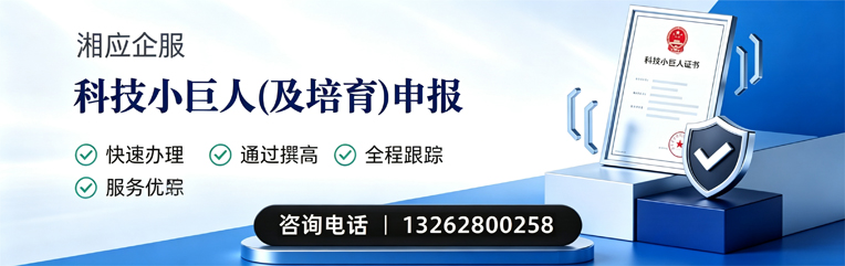 黑龙江科技小巨人及培育企业申报服务