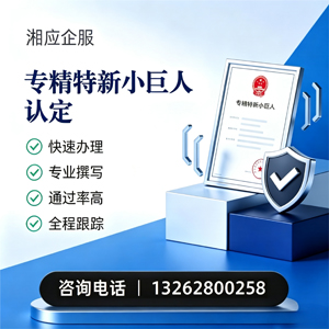 黑龙江专精特新小巨人申报服务