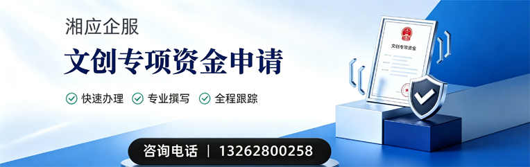 黑龙江文创专项资金申报服务