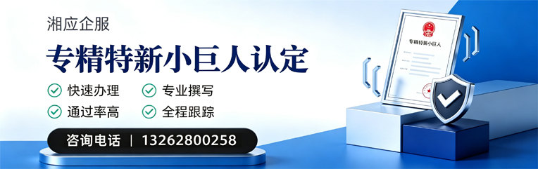 黑龙江专精特新小巨人申报服务